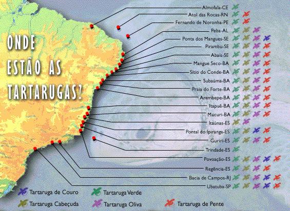 Mapa das tartarugas do Brasil (71 Kb)